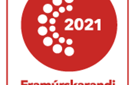 FF RGB FF 2021 Ice White Vert Minni